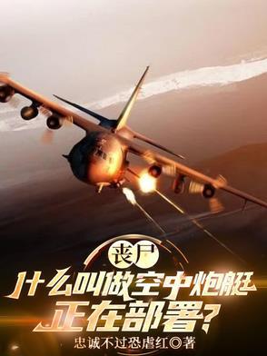 空中炮舰艇 空中炮舰艇