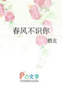 春风不识君全文阅读
