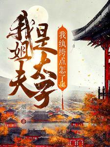 我的姐夫很厉害 我的姐夫很厉害