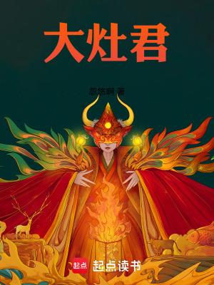大灶君免费阅读