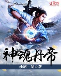 神魂丹帝全文免费阅读
