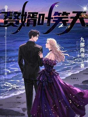赘婿叶天 赘婿叶天