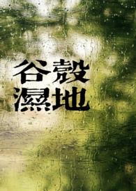 谷壳批发价