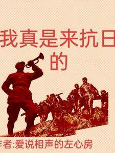 我真是来抗日的TXT