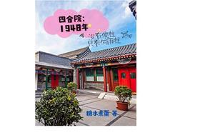 四合院傻柱别样人生 四合院傻柱别样人生