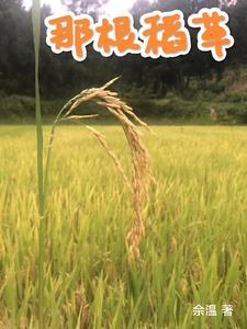稻草的根叫什么 稻草的根叫什么