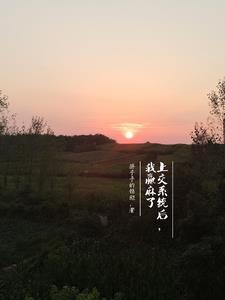 特级厨师免费阅读 特级厨师免费阅读